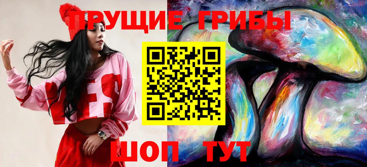 Псилоцибиновые грибы Psilocybe Когалым