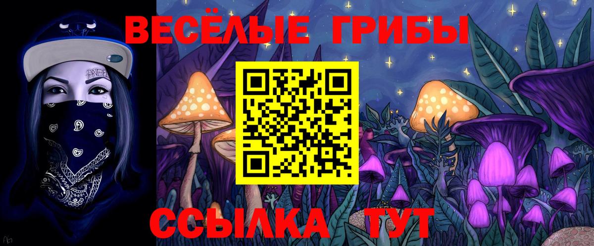 Когалым  Галлюциногенные грибы прущие грибы  Вход с VPN 